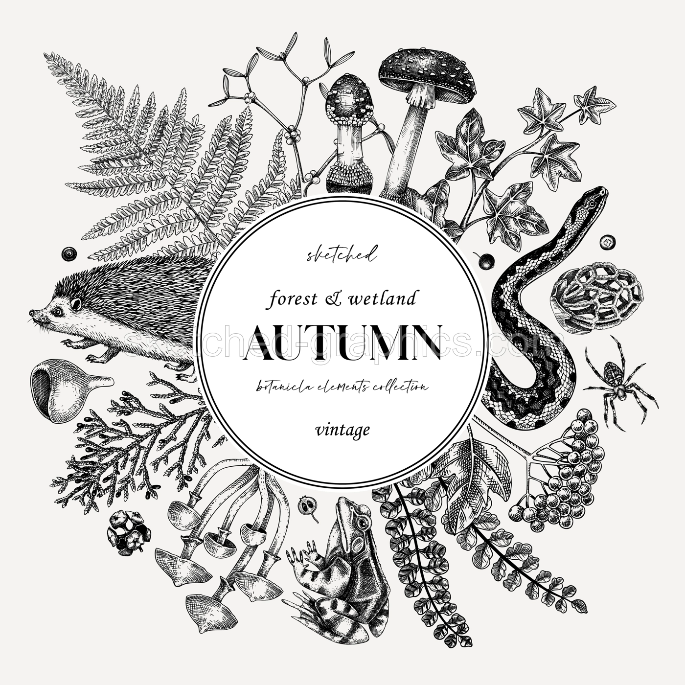 Autumn forest on chalkboard. Vinatge design template. Woodland animals, ferns, fall leaves, mushroom sketches. Hand drawn vector illustration. Greeting card or invitation. Illustration